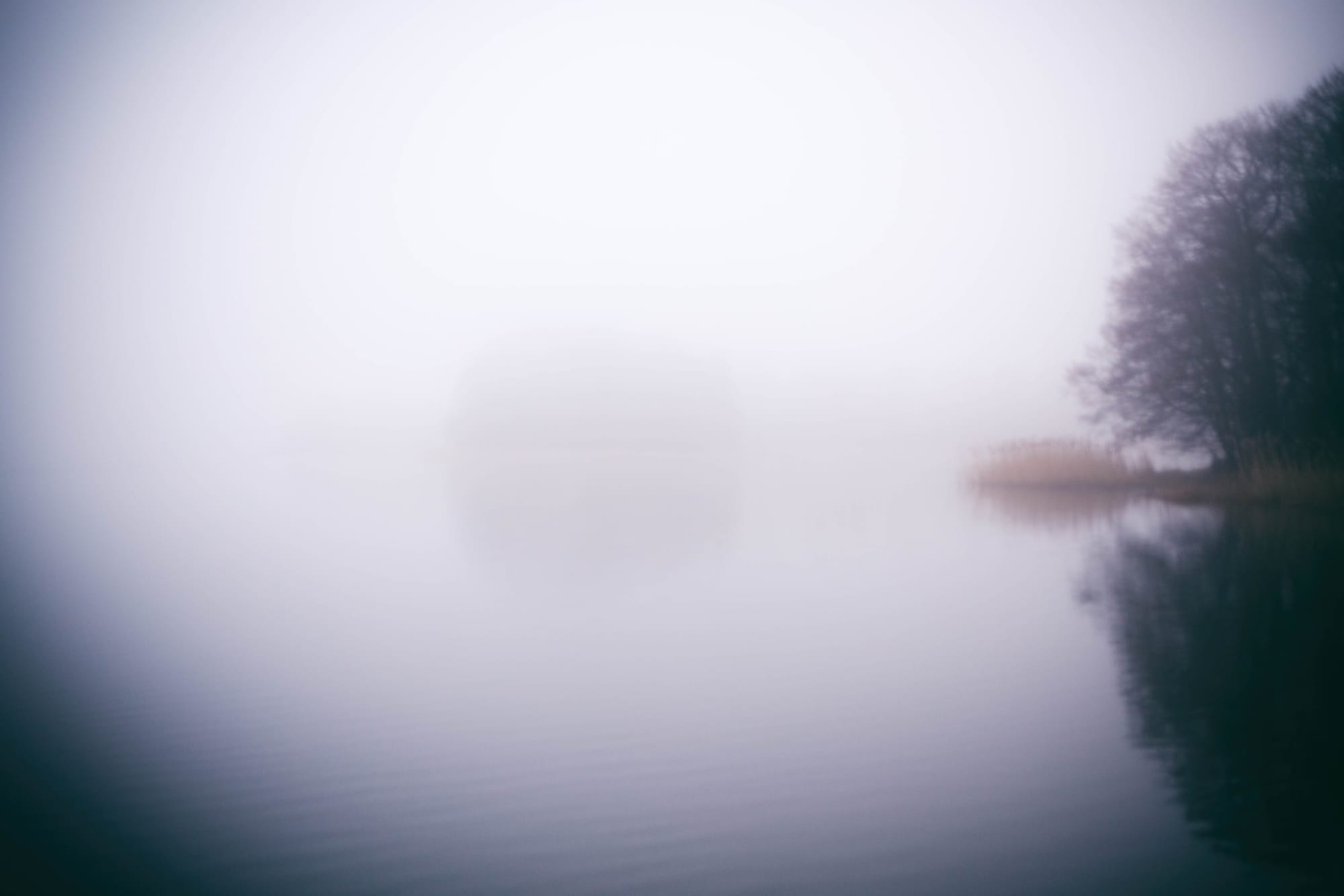 the ghost and the machine